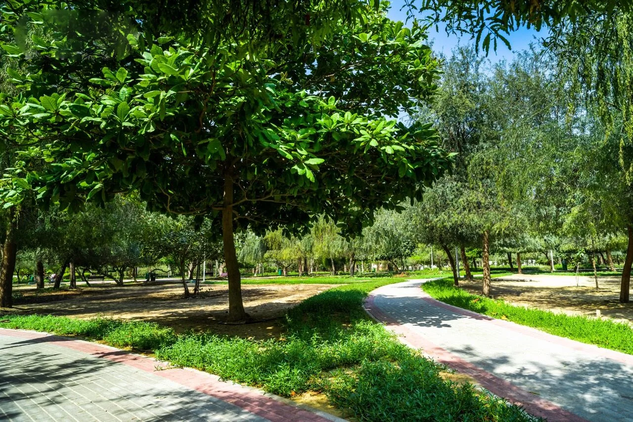 Emirates Garden 1 - Gardenia