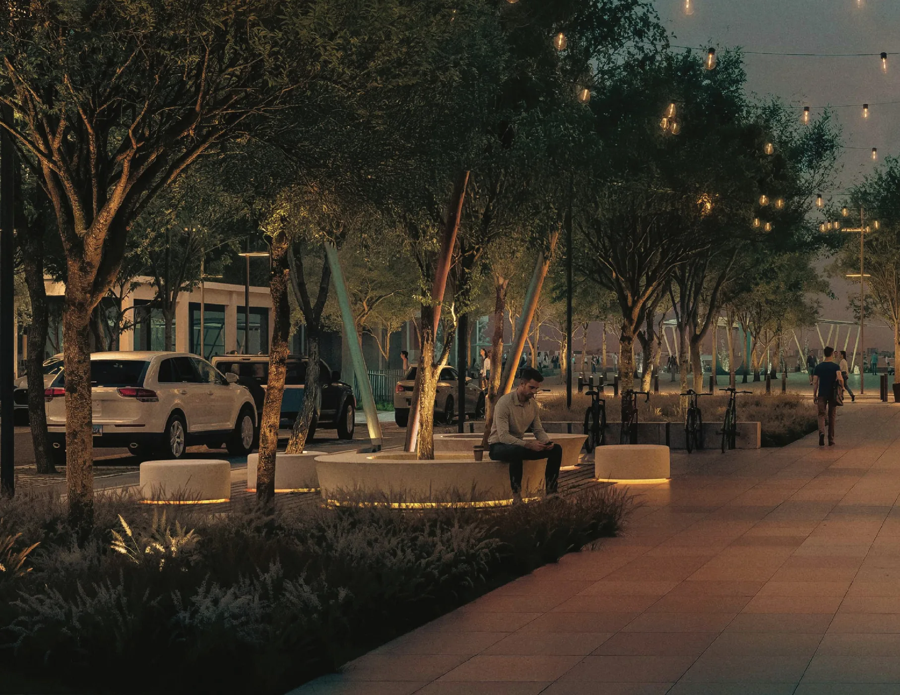 Mirasol 2