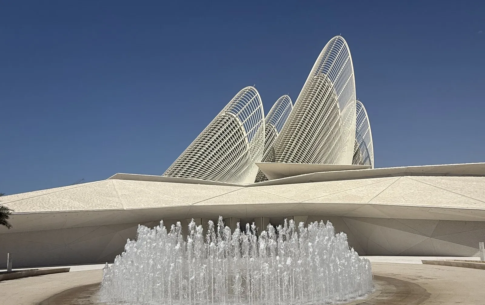 Национальный музей Заида: пять «крыльев сокола» над входом и фонтан