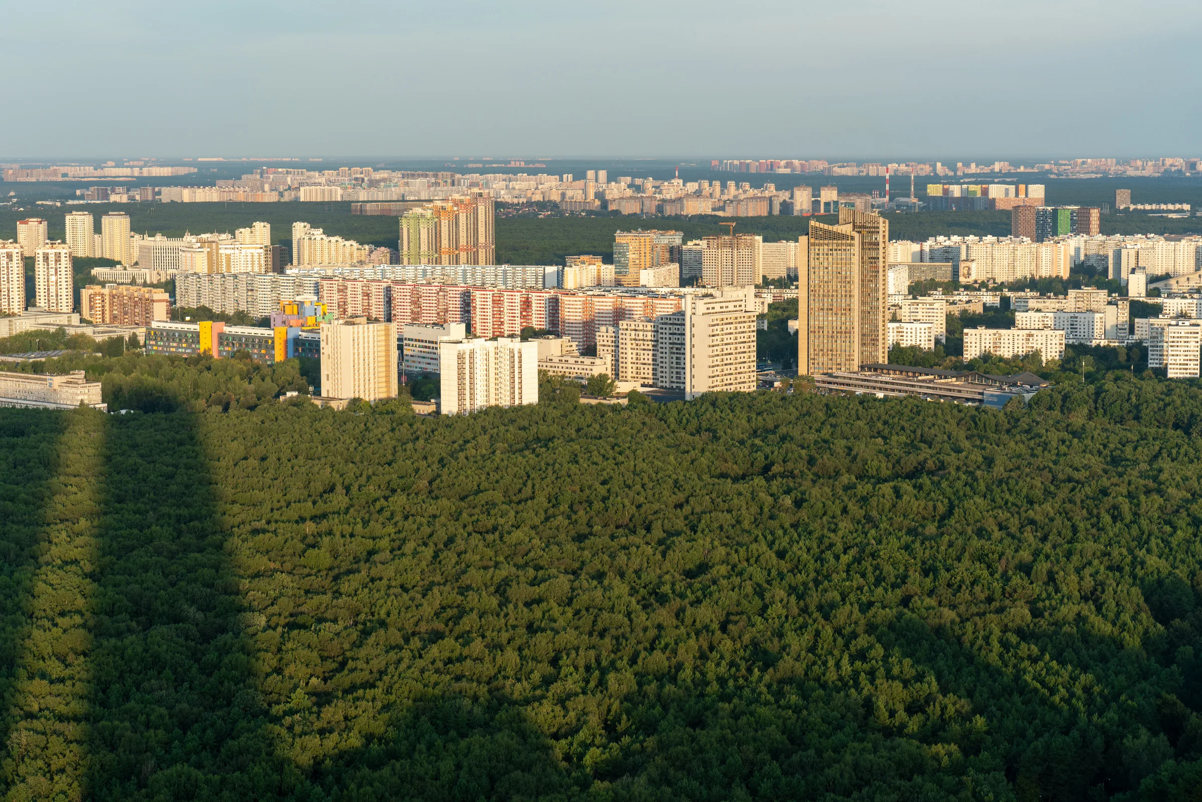 Лесопарк с высоты, по нему тень башен