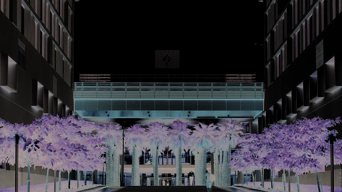 Кампус NYU Abu Dhabi