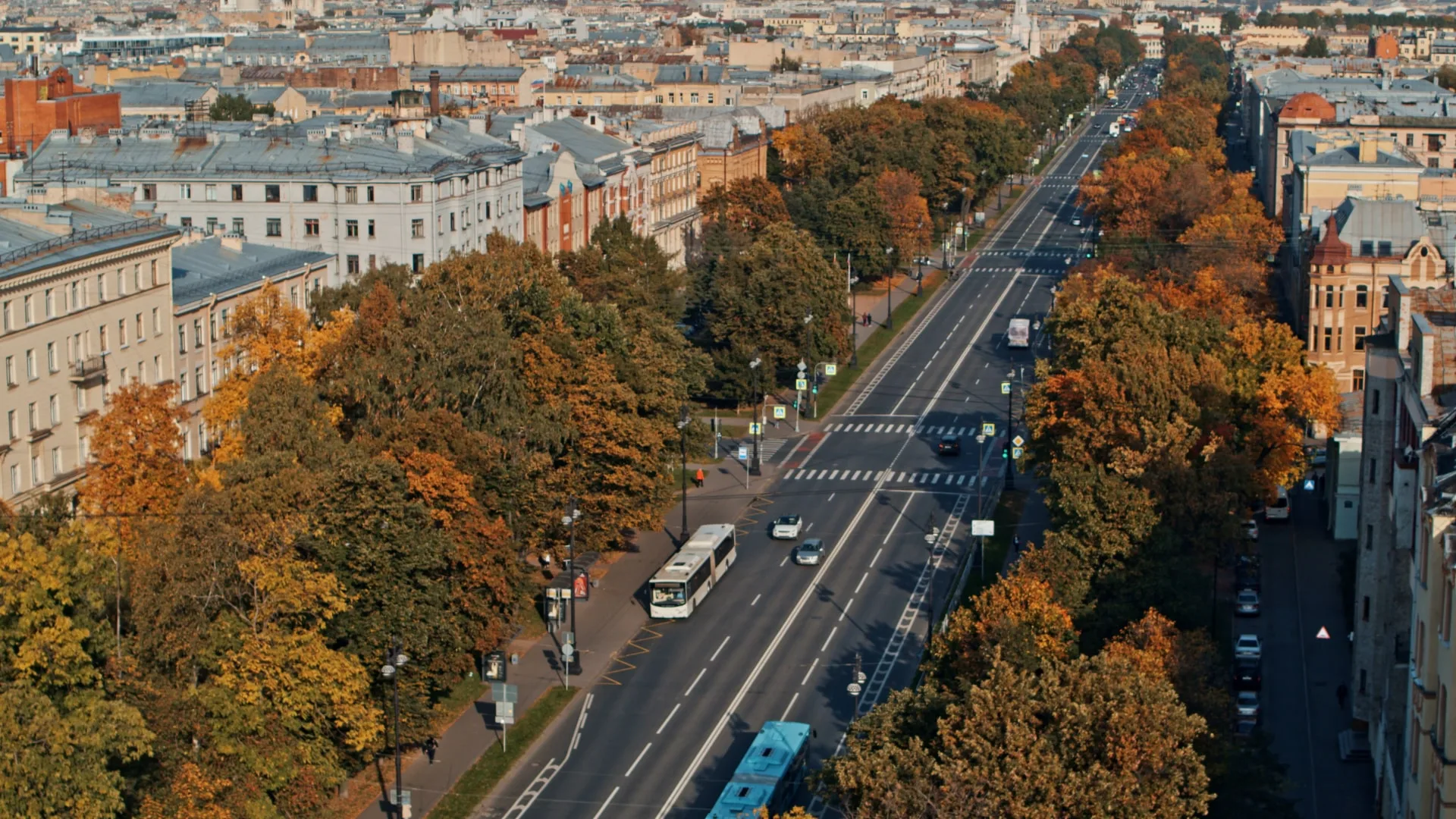 Васильевский остров осенью с высоты: проспект с бульварами в жёлтой листве и крыши домов
