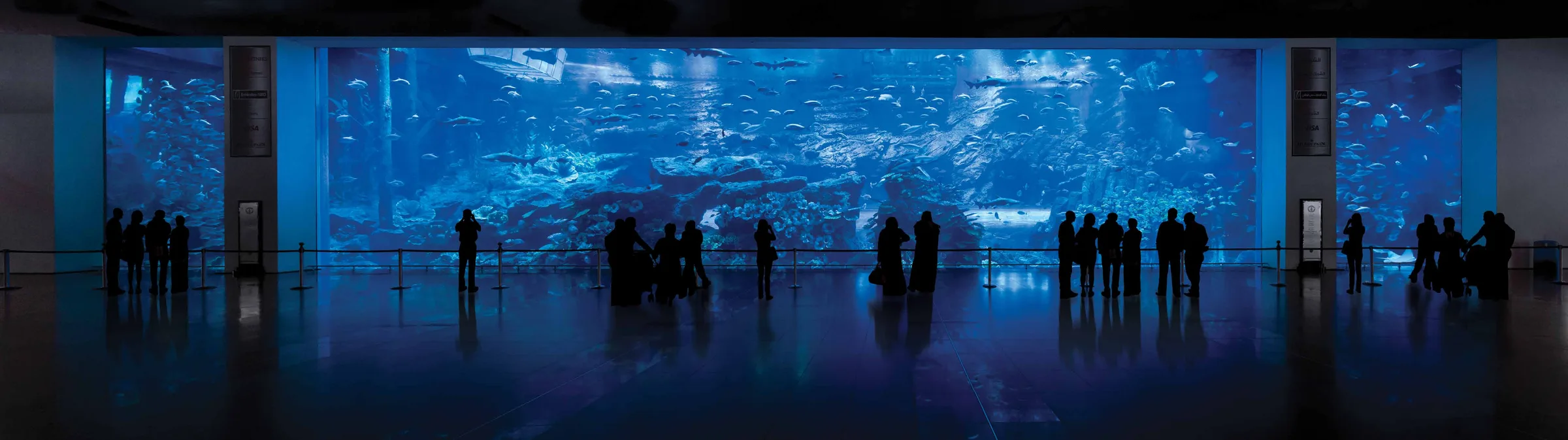 Аквариум Dubai Aquarium в торговом центре
