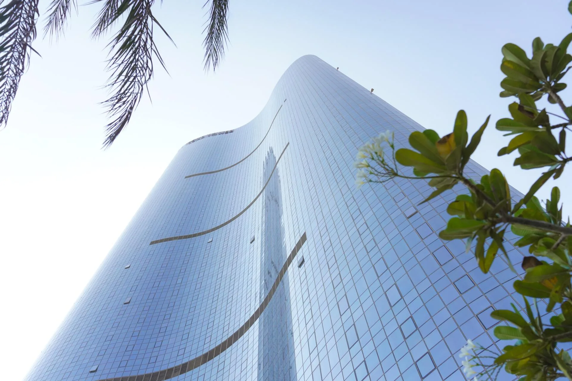 Изогнутый стеклянный фасад Leaf Tower сквозь листья пальм
