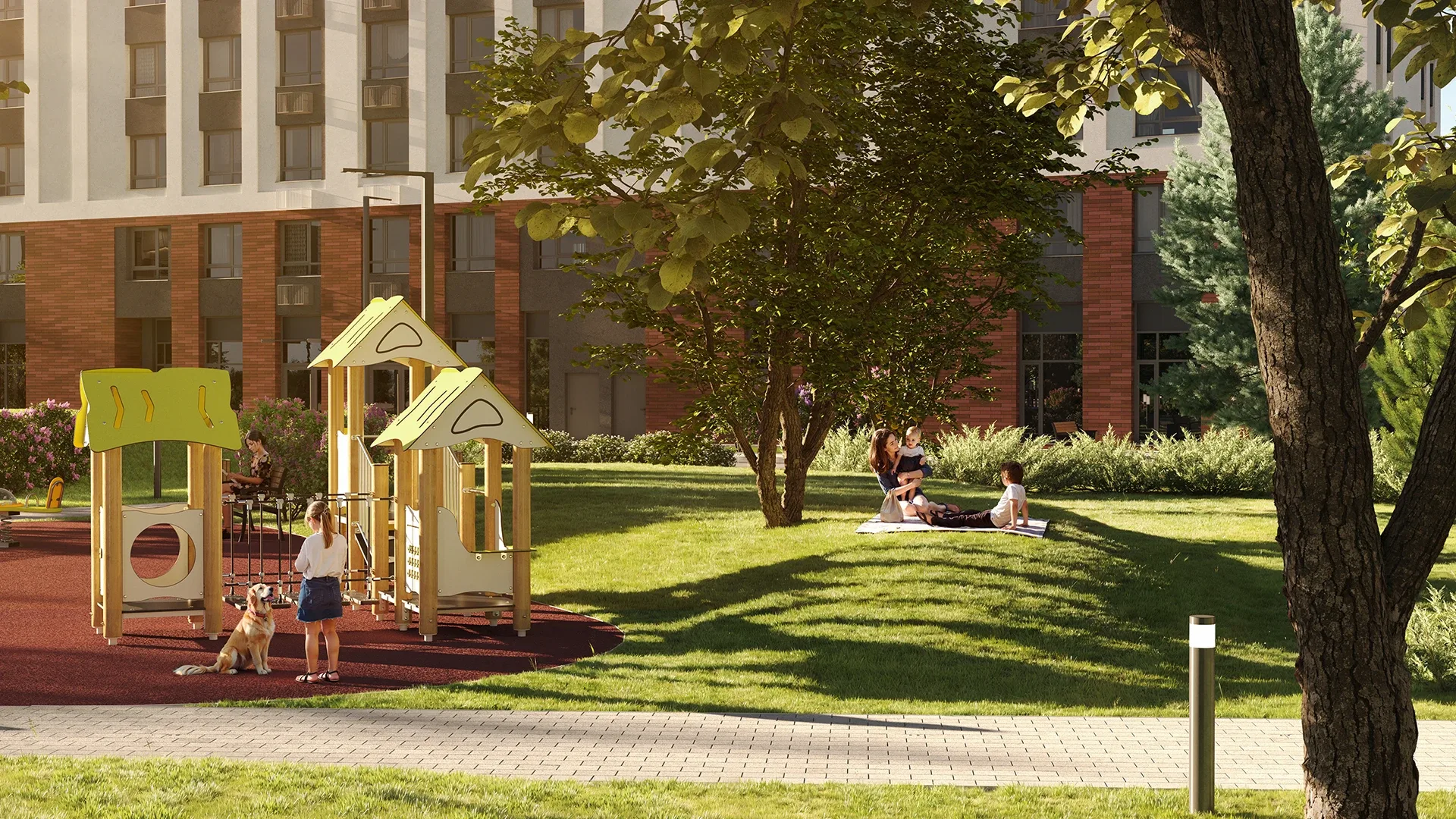 Лучи