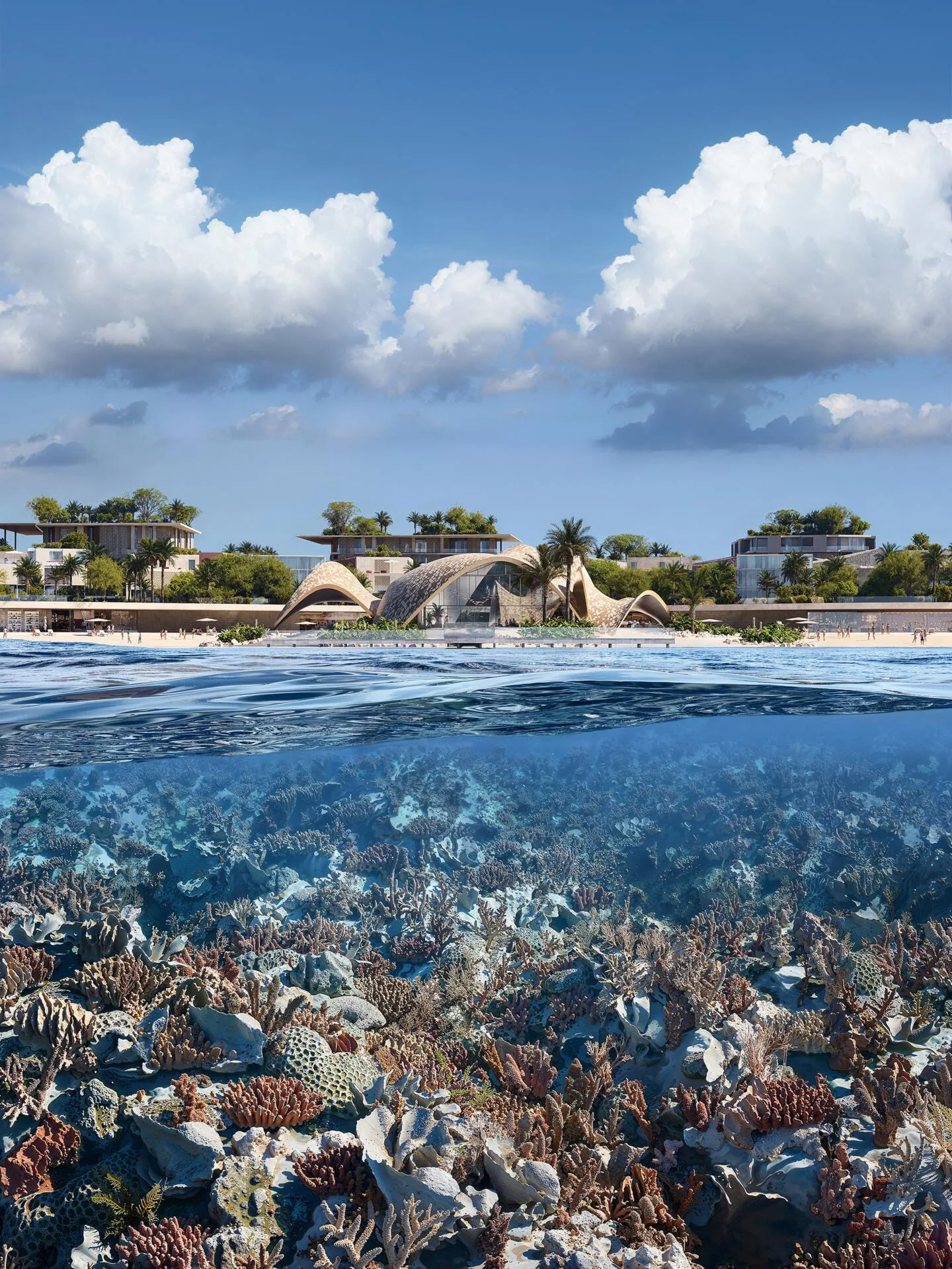 Визуализация: берег Mira Coral Bay над водой и кораллы под водой