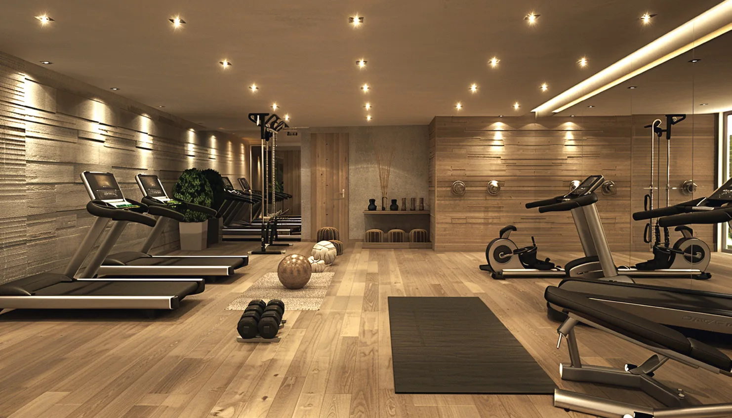 Спортзал Taj Wellington Mews с тренажёрами у окон